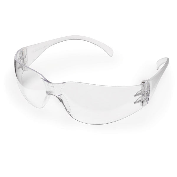 Intruder Economy Safety Glasses - Standard