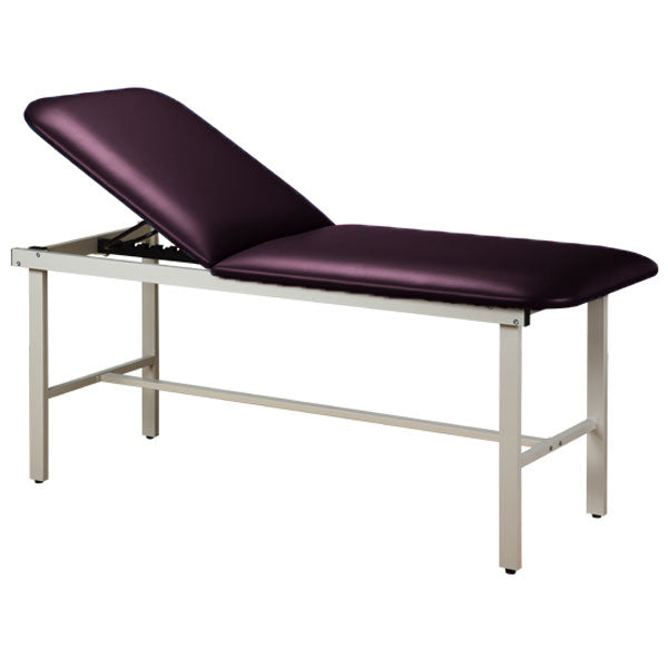 Adjustable Backrest Treatment Table with Steel Frame - Purplegray